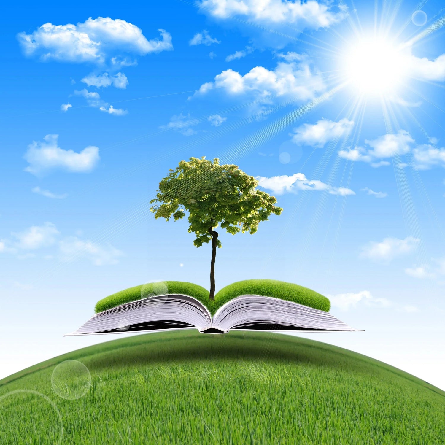 Tutti i libri ADV