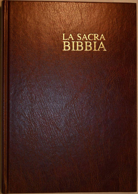 BIBBIA ND CARTONATA BORDEAUX