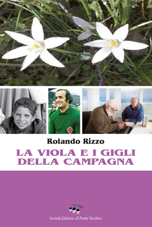 LA VIOLA E I GIGLI DELLA CAMPAGNA