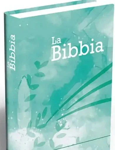 BIBBIA NR Fto 11 5x17 5 RIGIDA TIFFANY